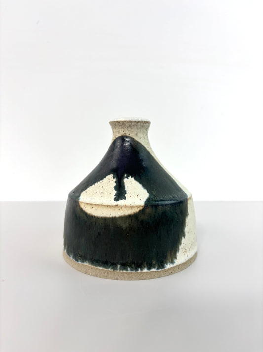 Wide bottle vase